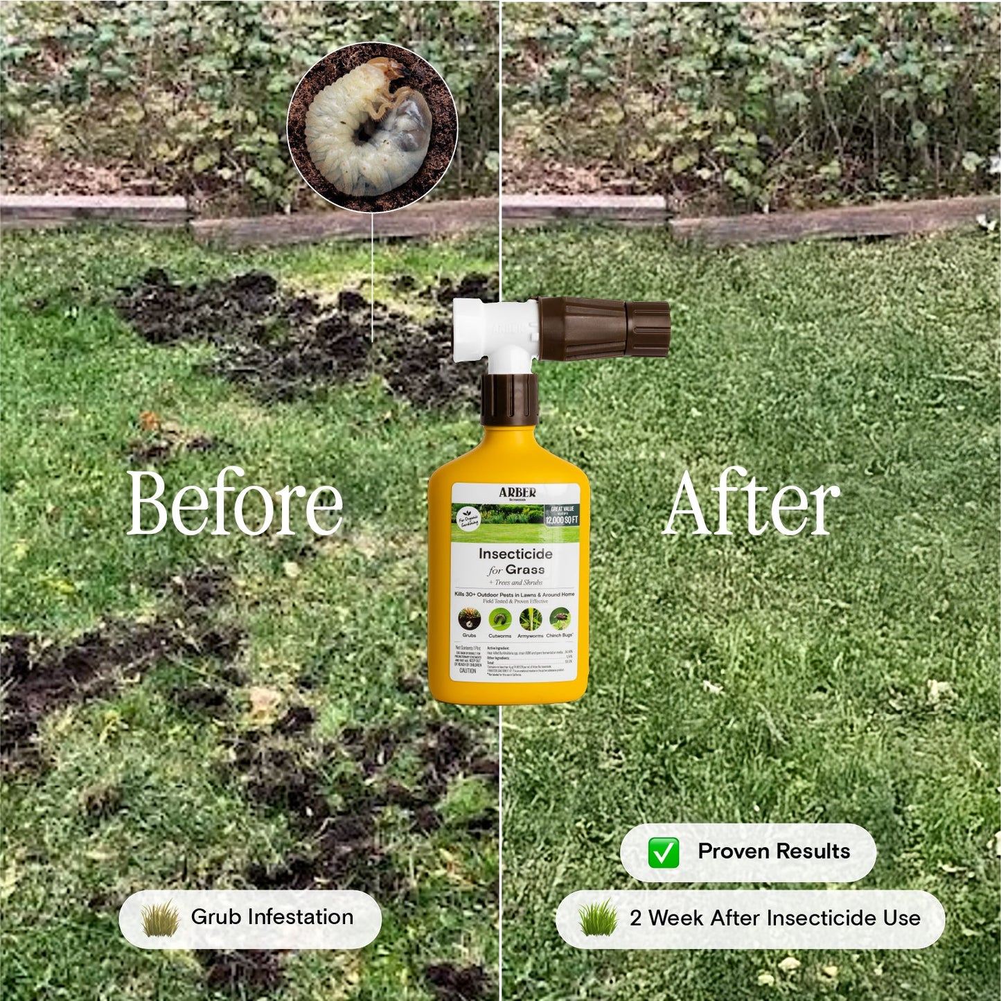 Organic Insecticide for Grass | Trees | Shrubs