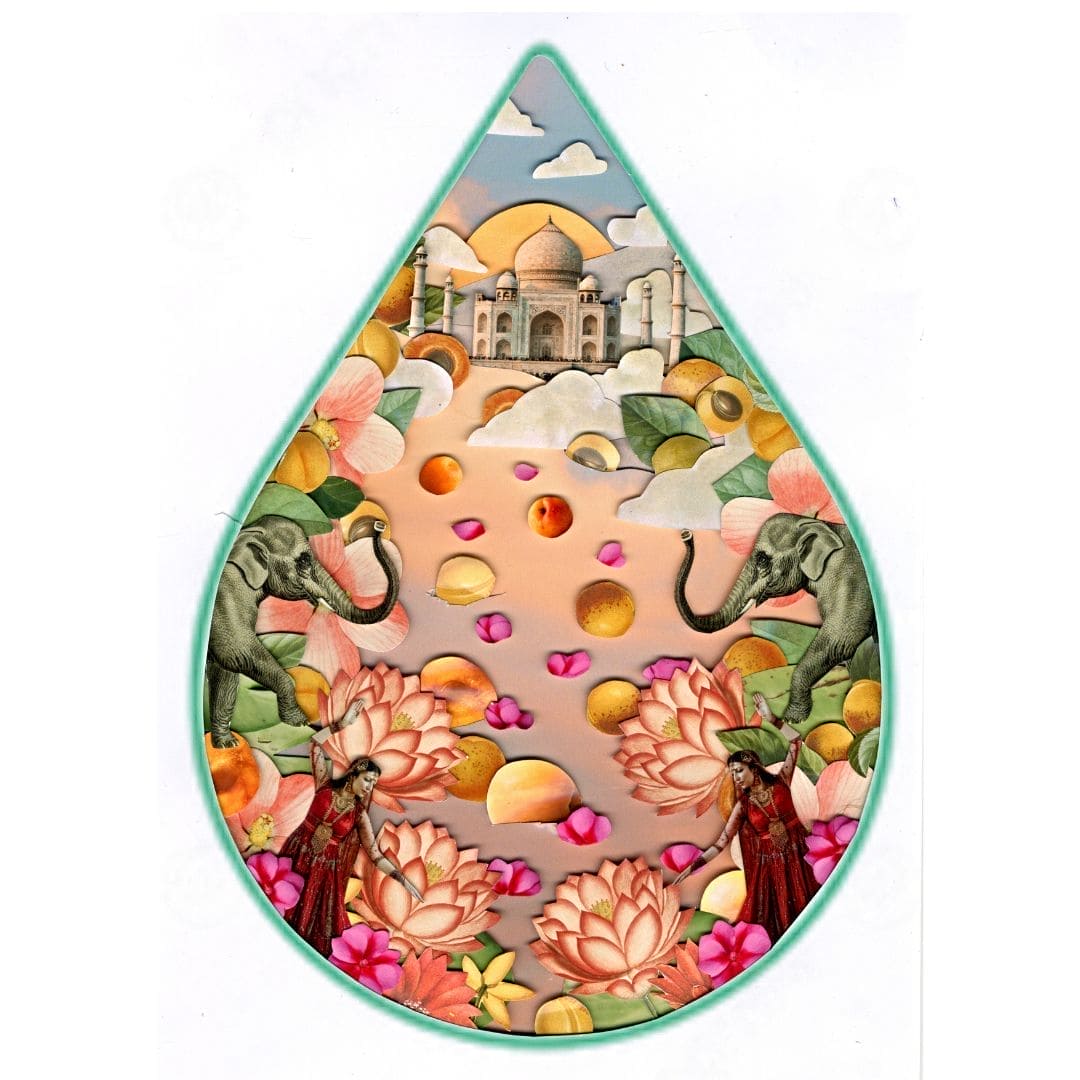 Apricot Oil 100% Organic