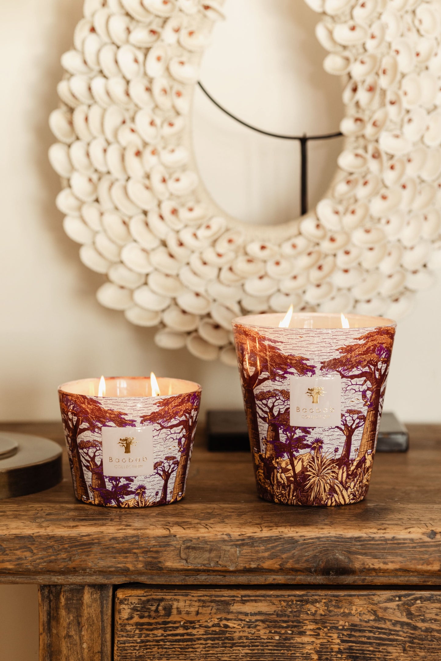 Baobab Collection | Massasso Sacred Trees Max 24 Candle