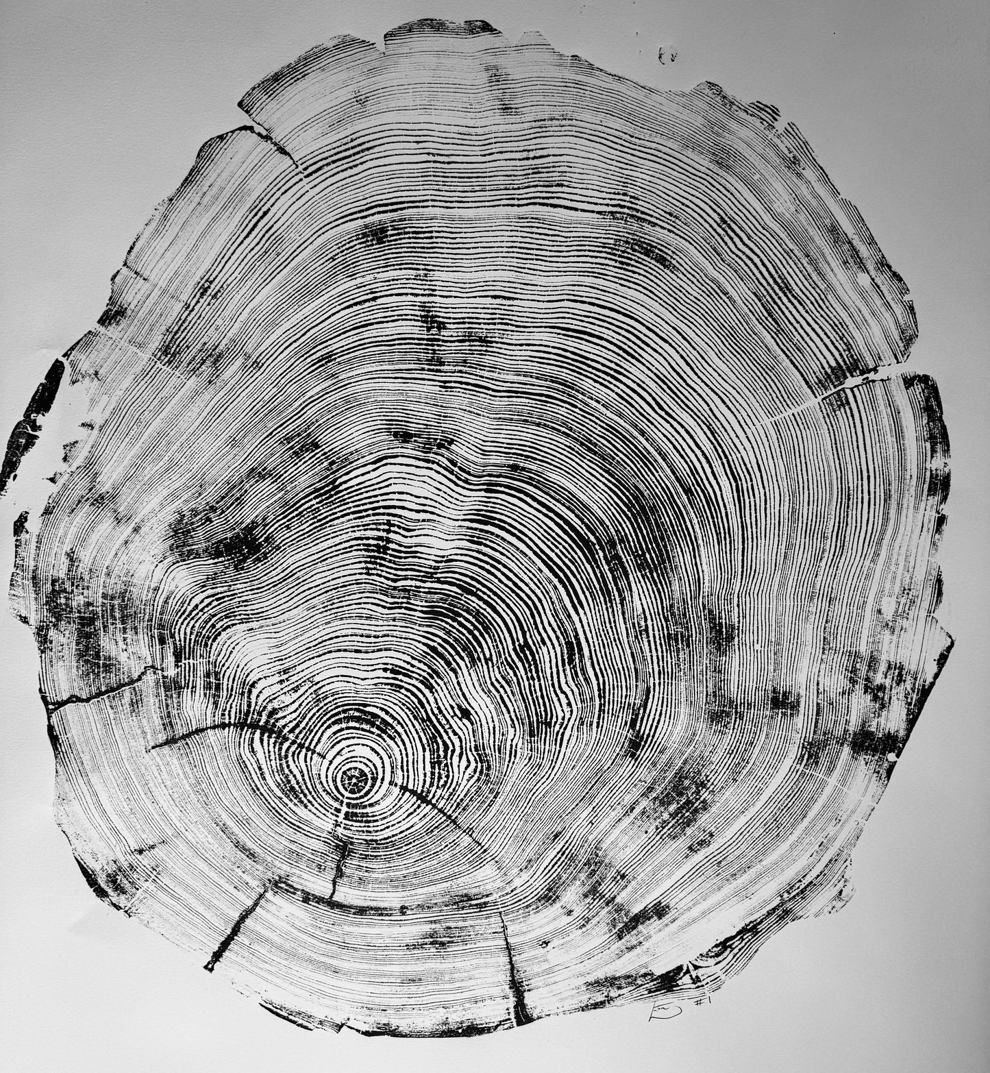 Hand-Pressed Redwood | San Francisco
