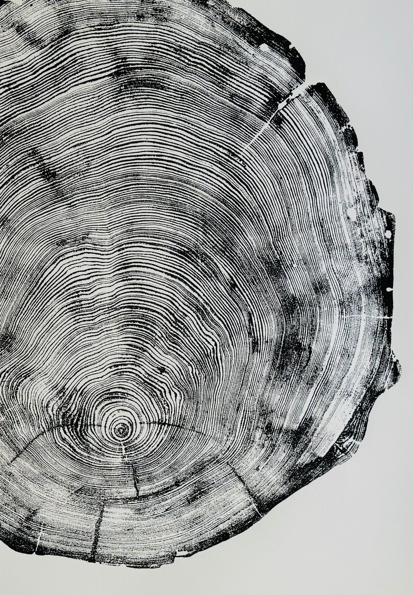Hand-Pressed Redwood | San Francisco