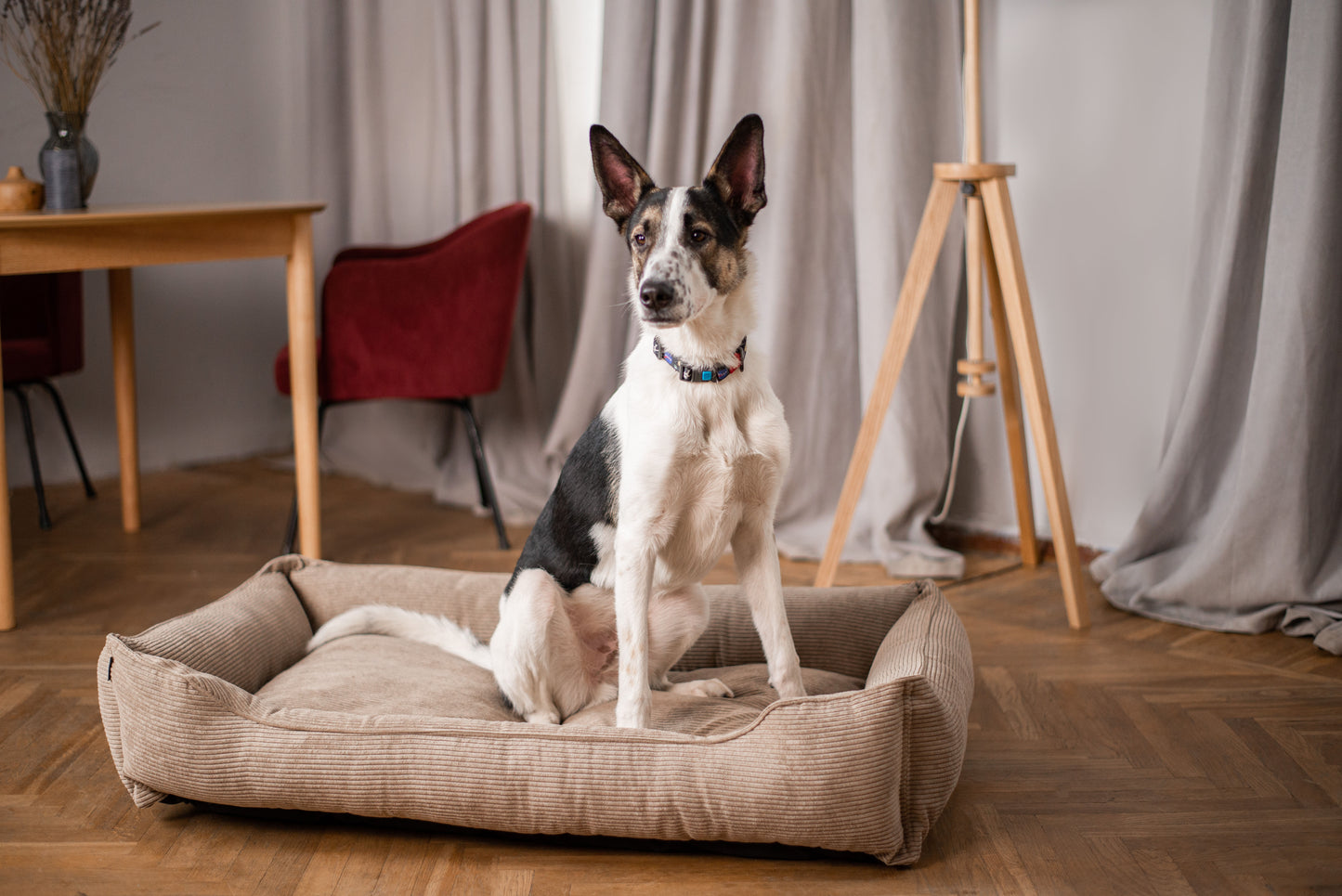 Dreamer Corduroy Dog Bed