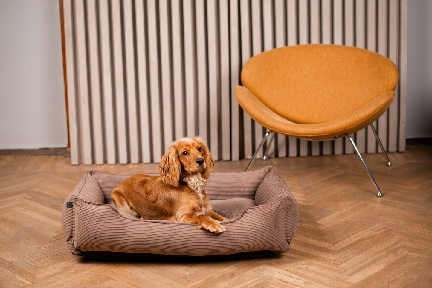 Dreamer Corduroy Dog Bed