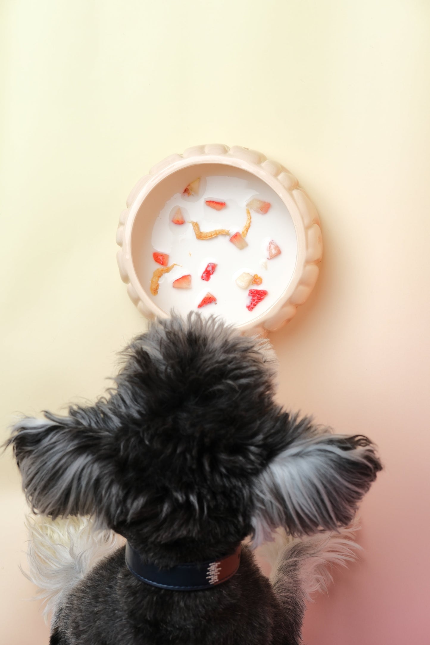 PEHOM | Puff Pet Bowl | Gradient Caramel