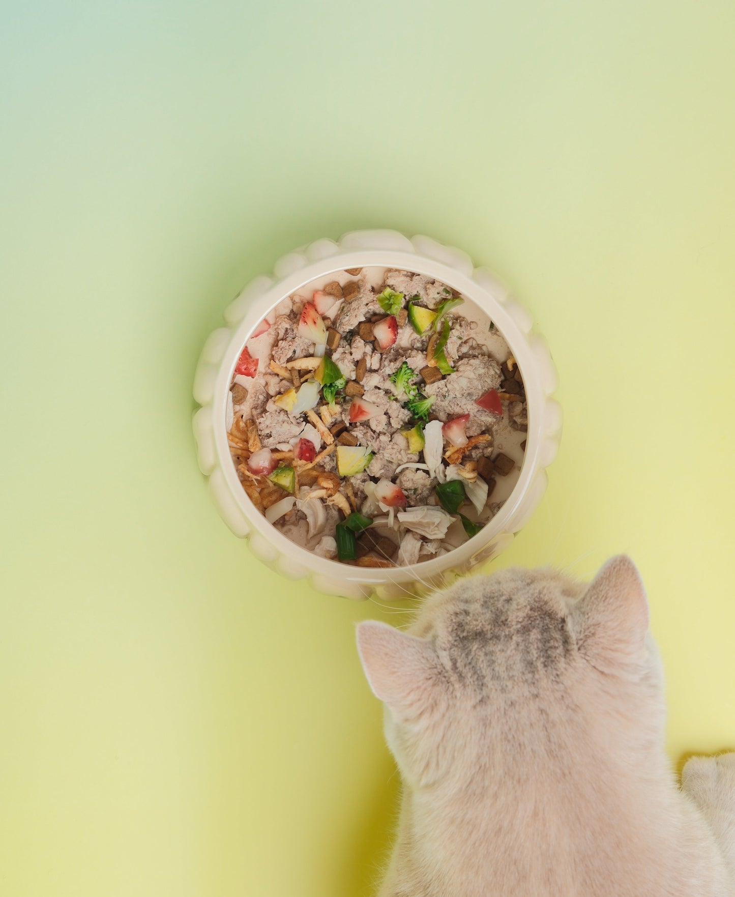 PEHOM | Puff Pet Bowl | Gradient Olive