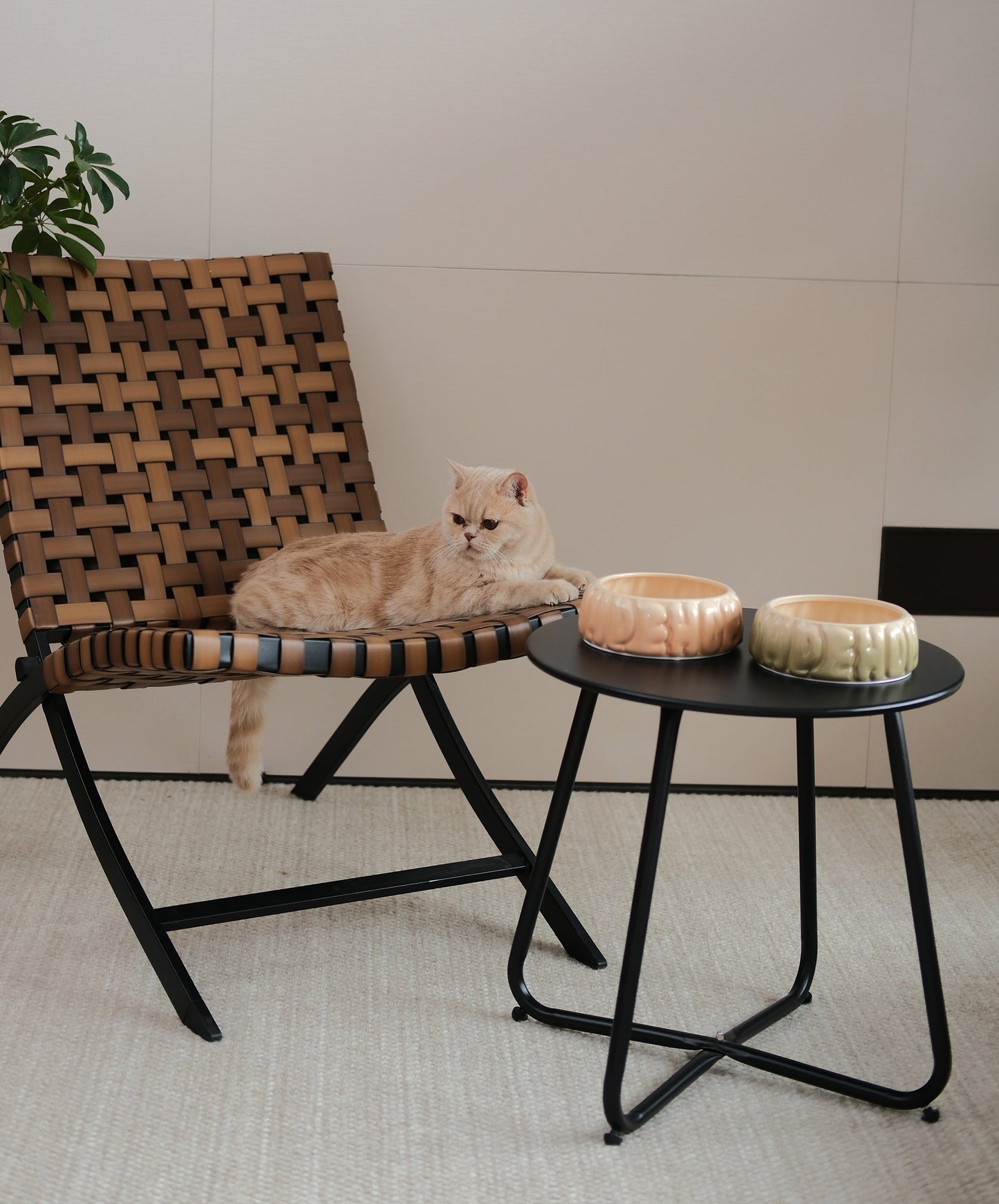 PEHOM | Puff Pet Bowl | Gradient Olive