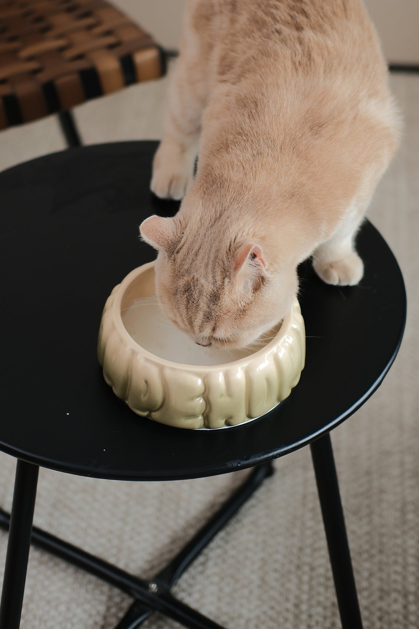 PEHOM | Puff Pet Bowl | Gradient Olive