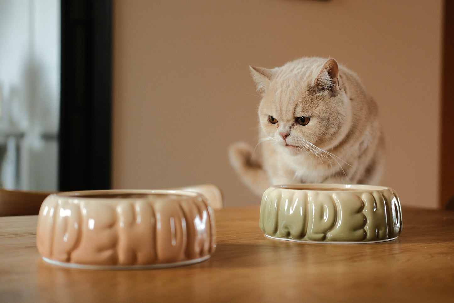 PEHOM | Puff Pet Bowl | Gradient Olive