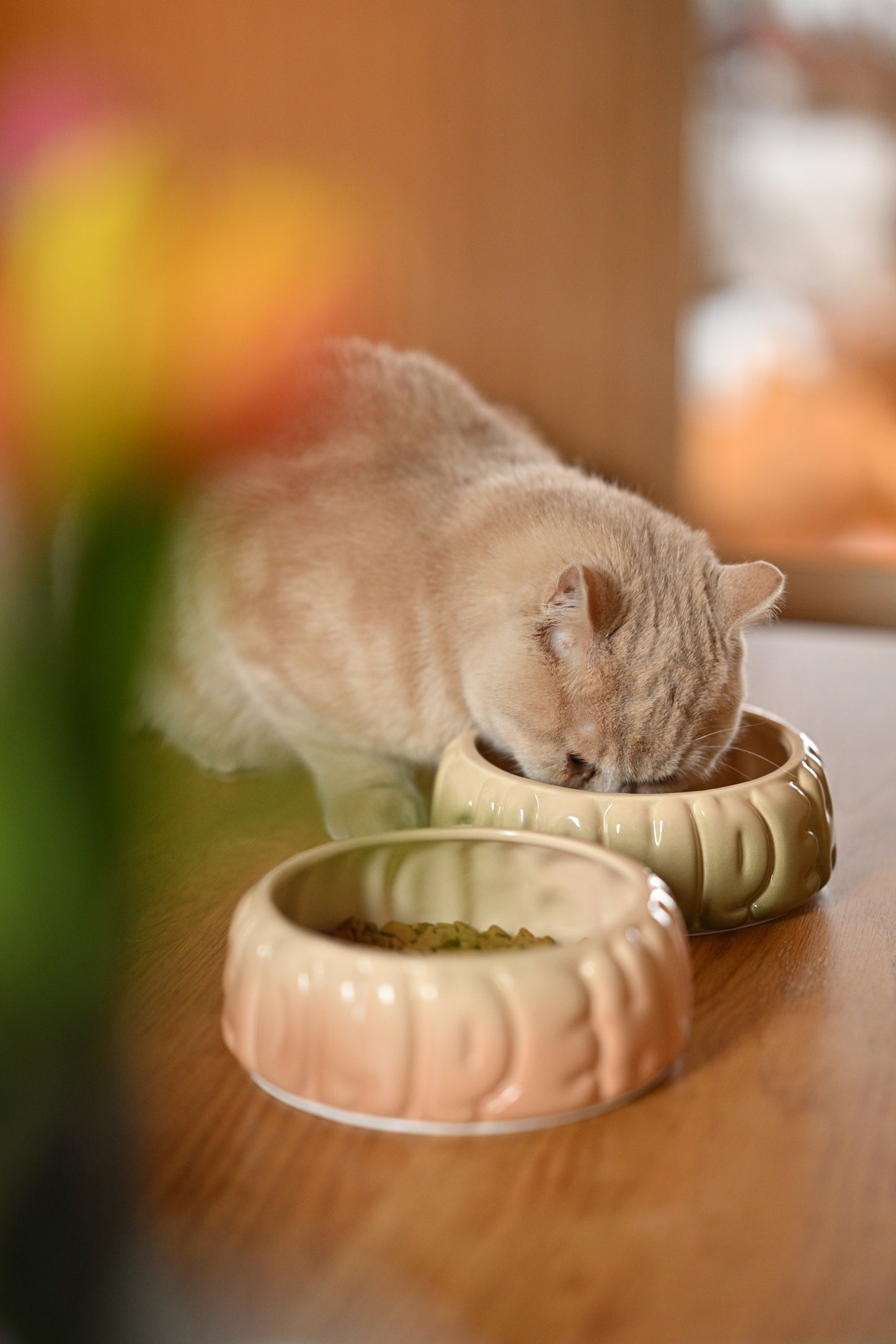 PEHOM | Puff Pet Bowl | Gradient Caramel