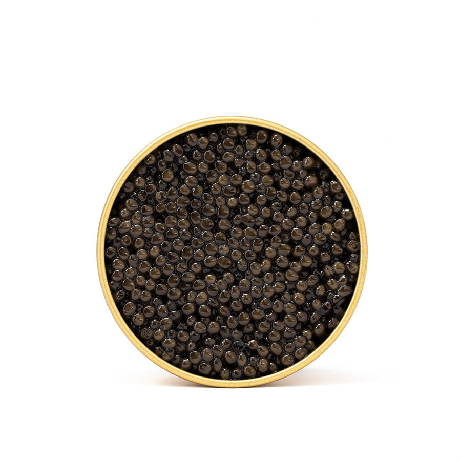 Caviar + Uni Pasta Kit