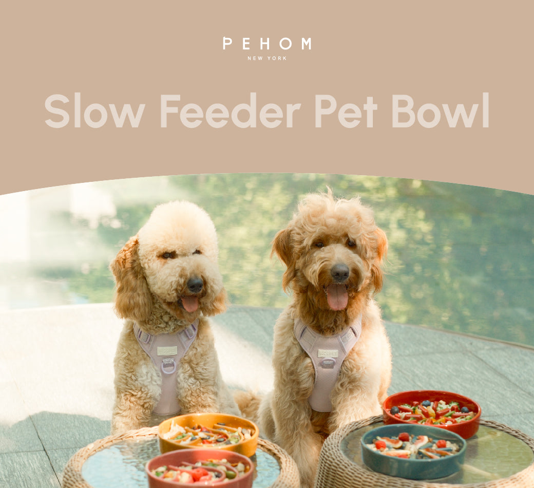 PEHOM | Wave Slow Feeder Dog Bowls