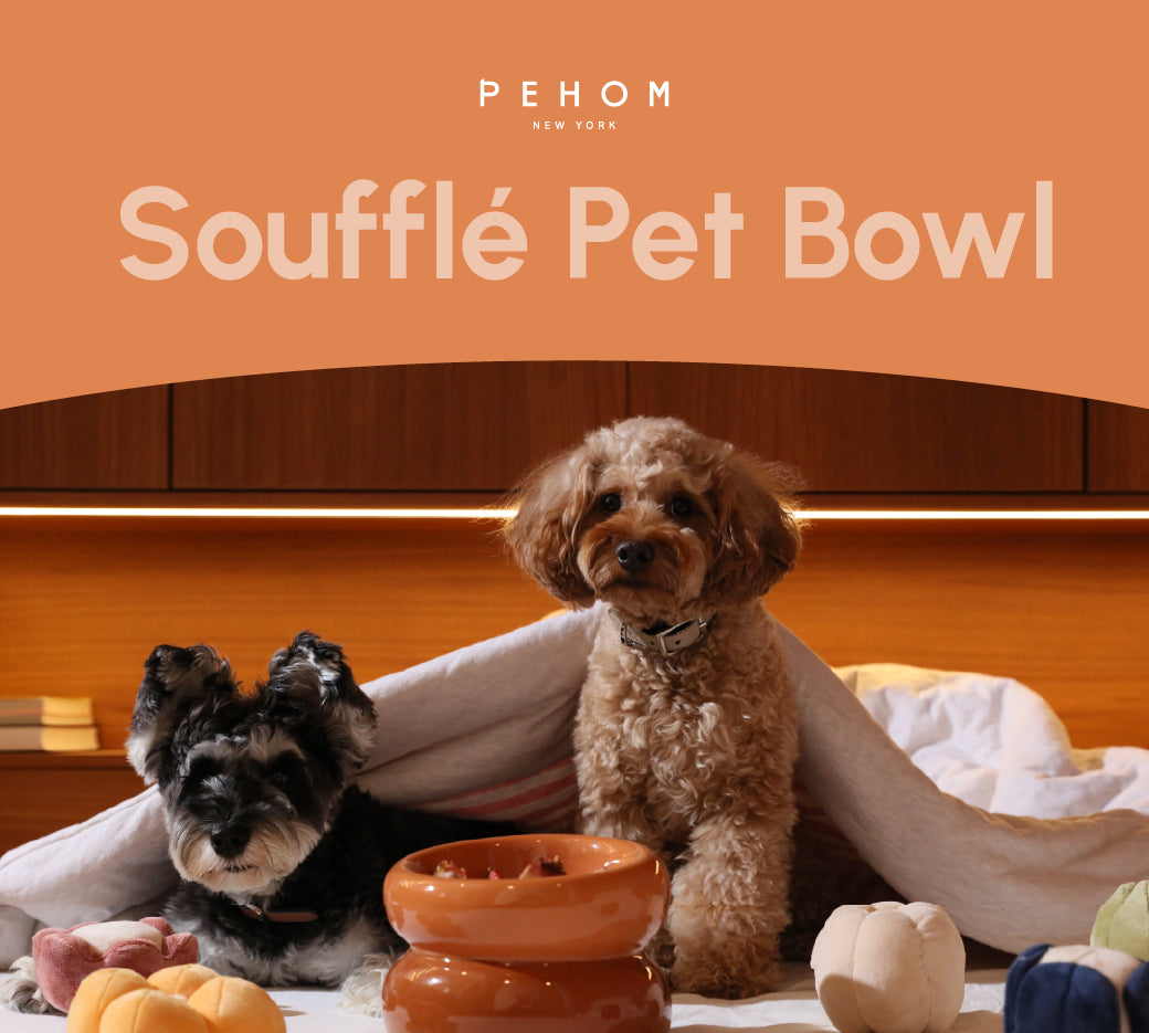 PEHOM | Soufflé Pet Bowl | Amber Orange