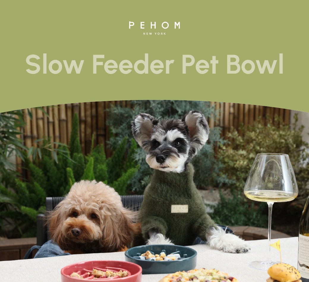 PEHOM | Slow Feeder Dog Bowls