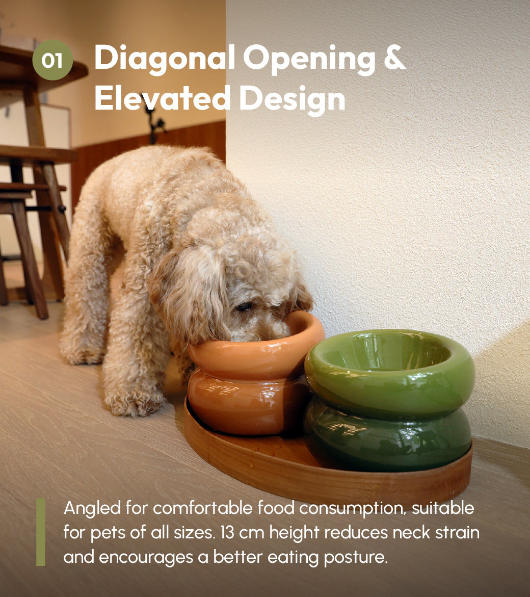 PEHOM | Soufflé Pet Bowl | Avocado Green
