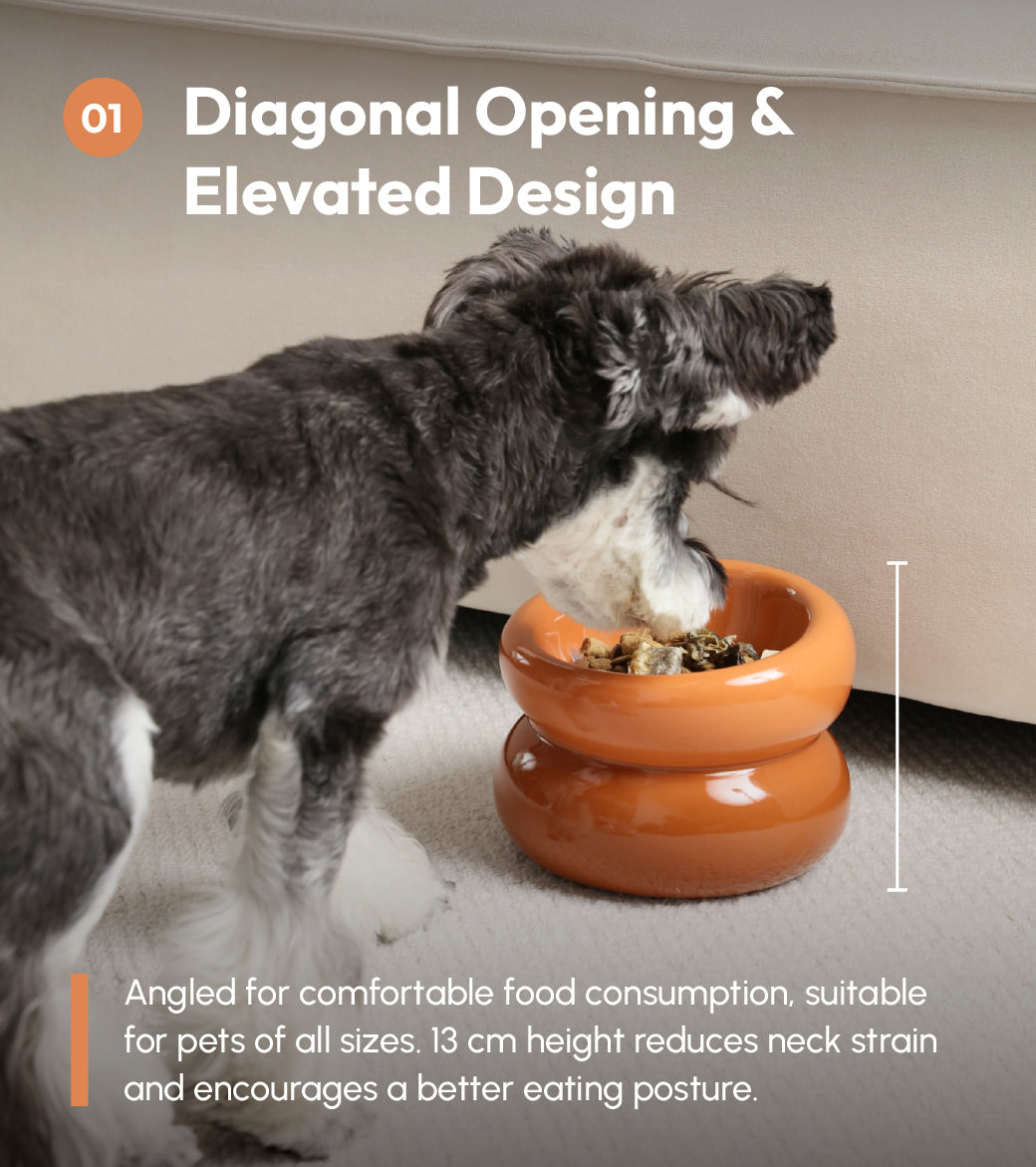 PEHOM | Soufflé Pet Bowl | Amber Orange