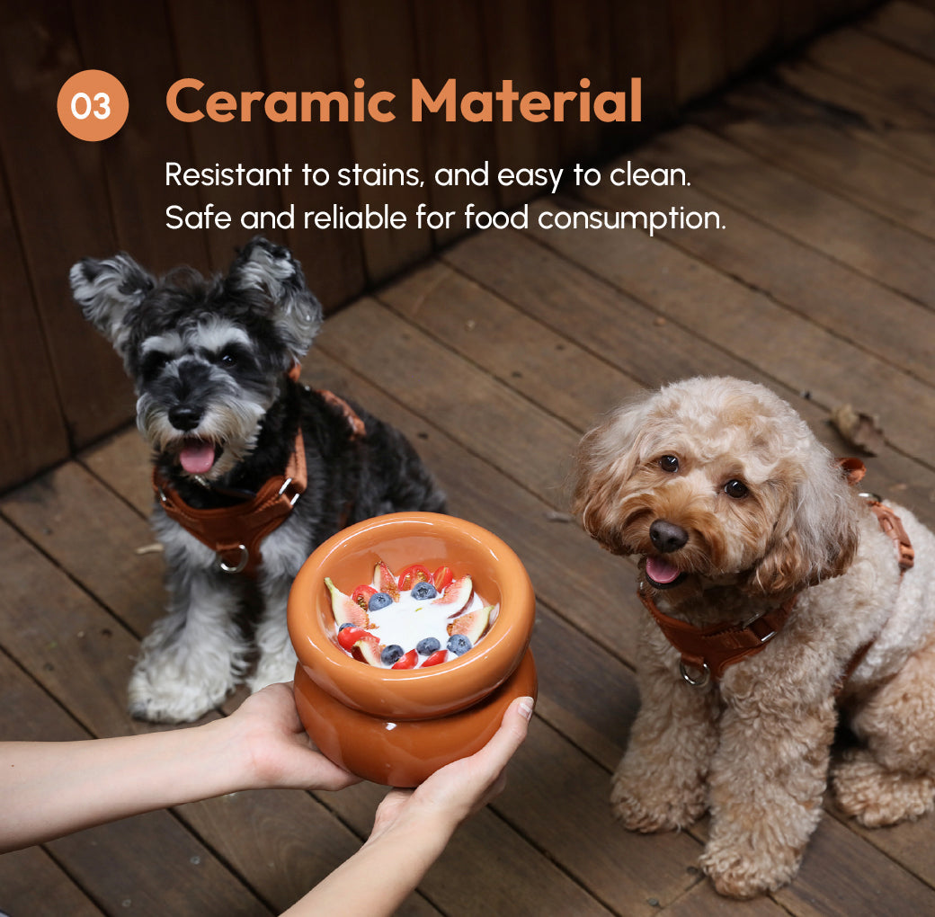 PEHOM | Soufflé Pet Bowl | Amber Orange