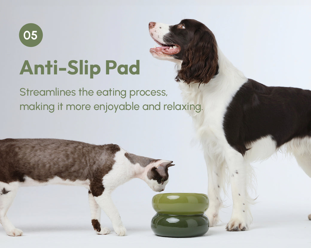 PEHOM | Soufflé Pet Bowl | Avocado Green