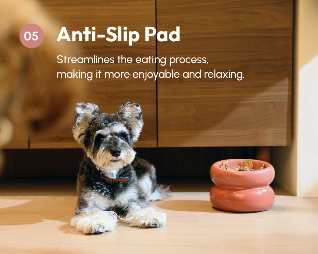 PEHOM | Soufflé Pet Bowl | Rose Pink