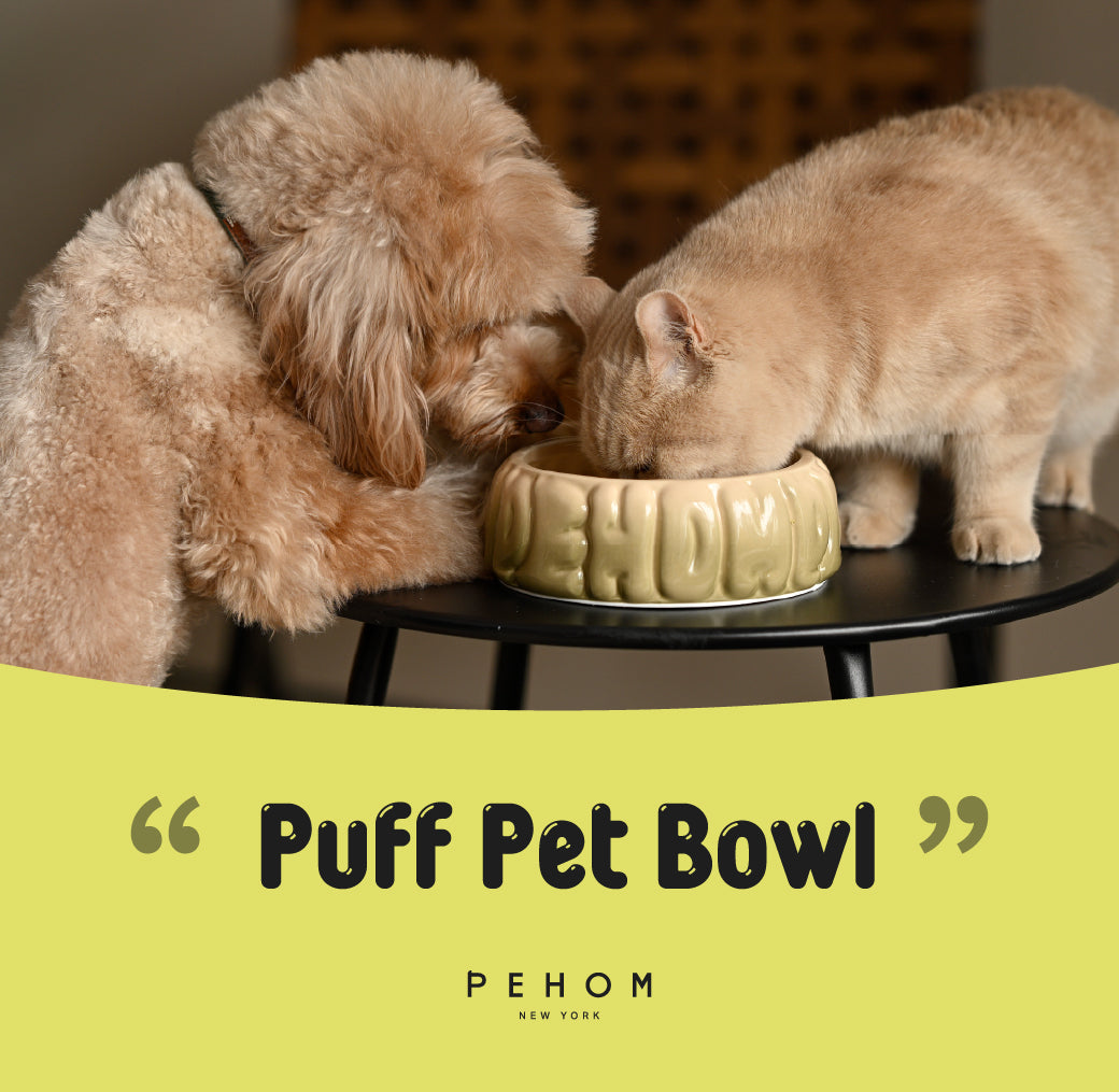 PEHOM | Puff Pet Bowl | Gradient Olive
