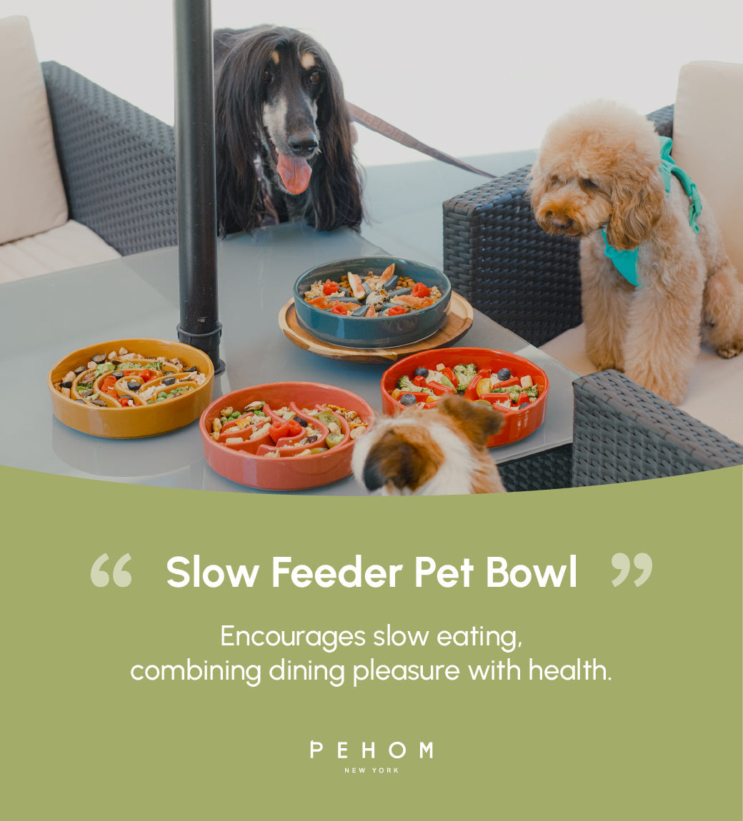 PEHOM | Slow Feeder Dog Bowls