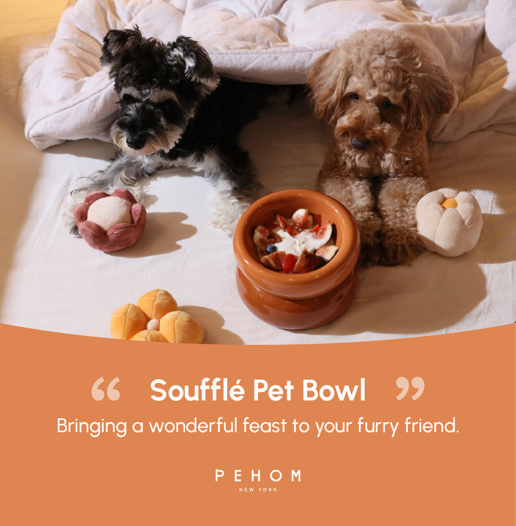 PEHOM | Soufflé Pet Bowl | Amber Orange