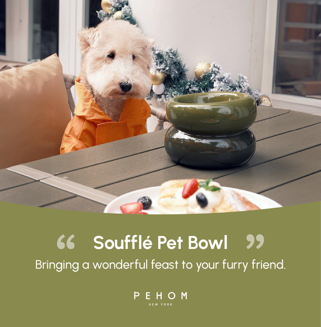 PEHOM | Soufflé Pet Bowl | Avocado Green