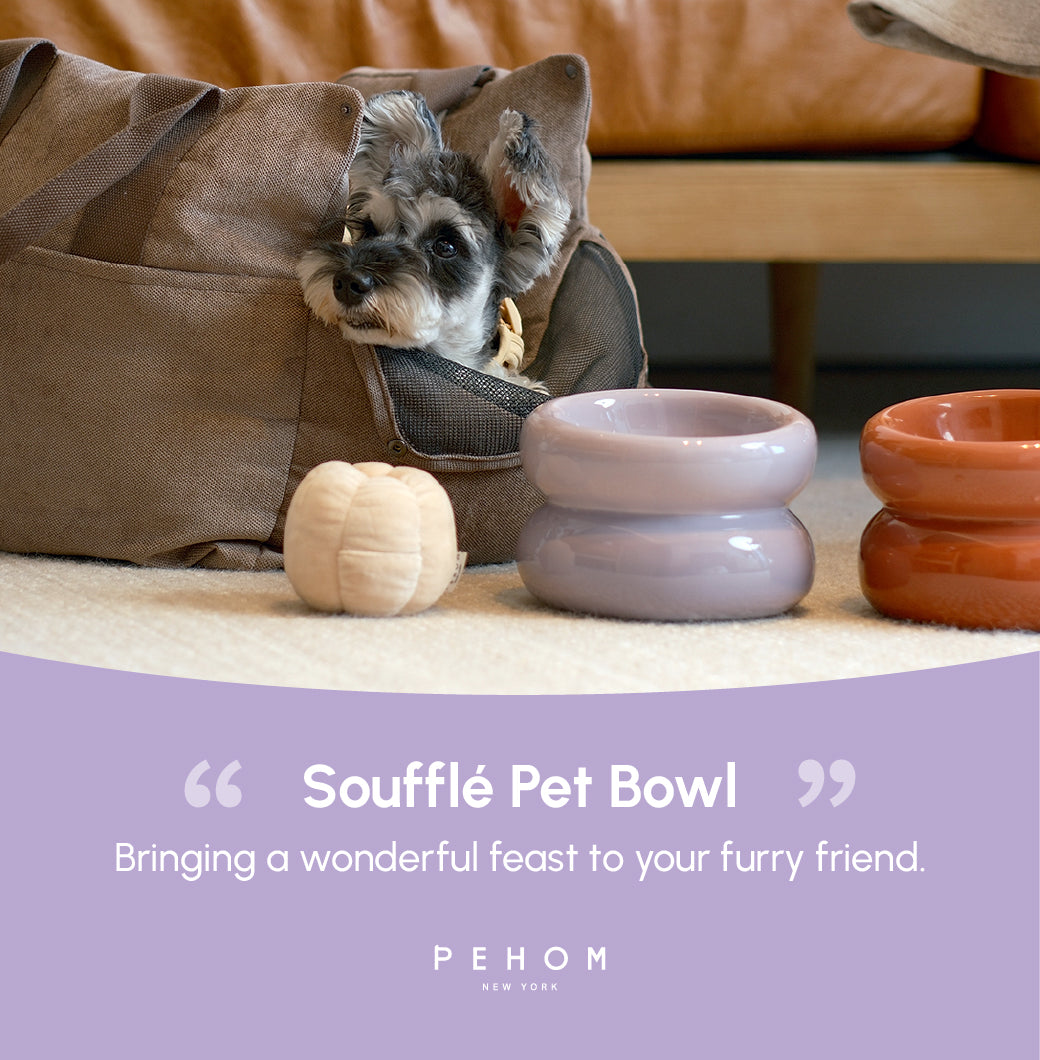 PEHOM | Soufflé Pet Bowl | Purple