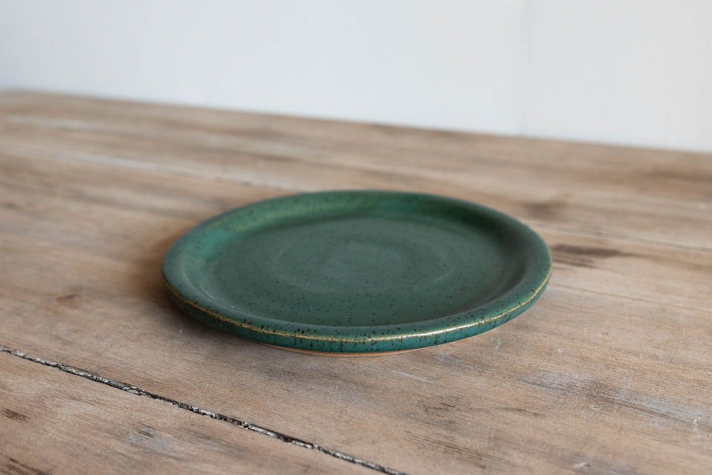 Earthenware Dinner Plate