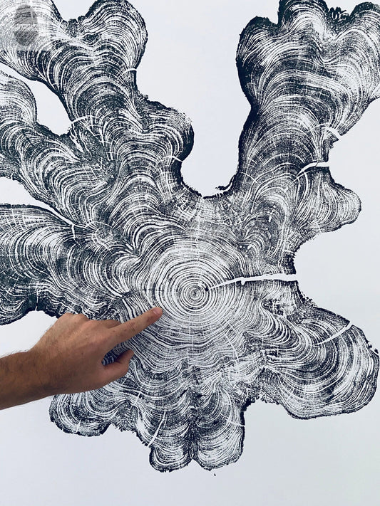 Florid Cypress | Tree Ring Print