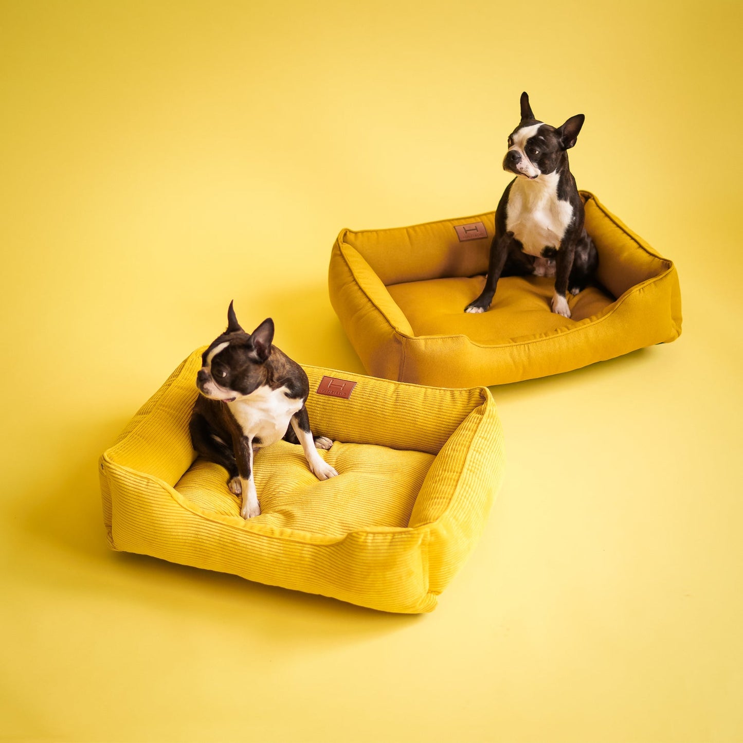 Dreamer Corduroy Dog Bed