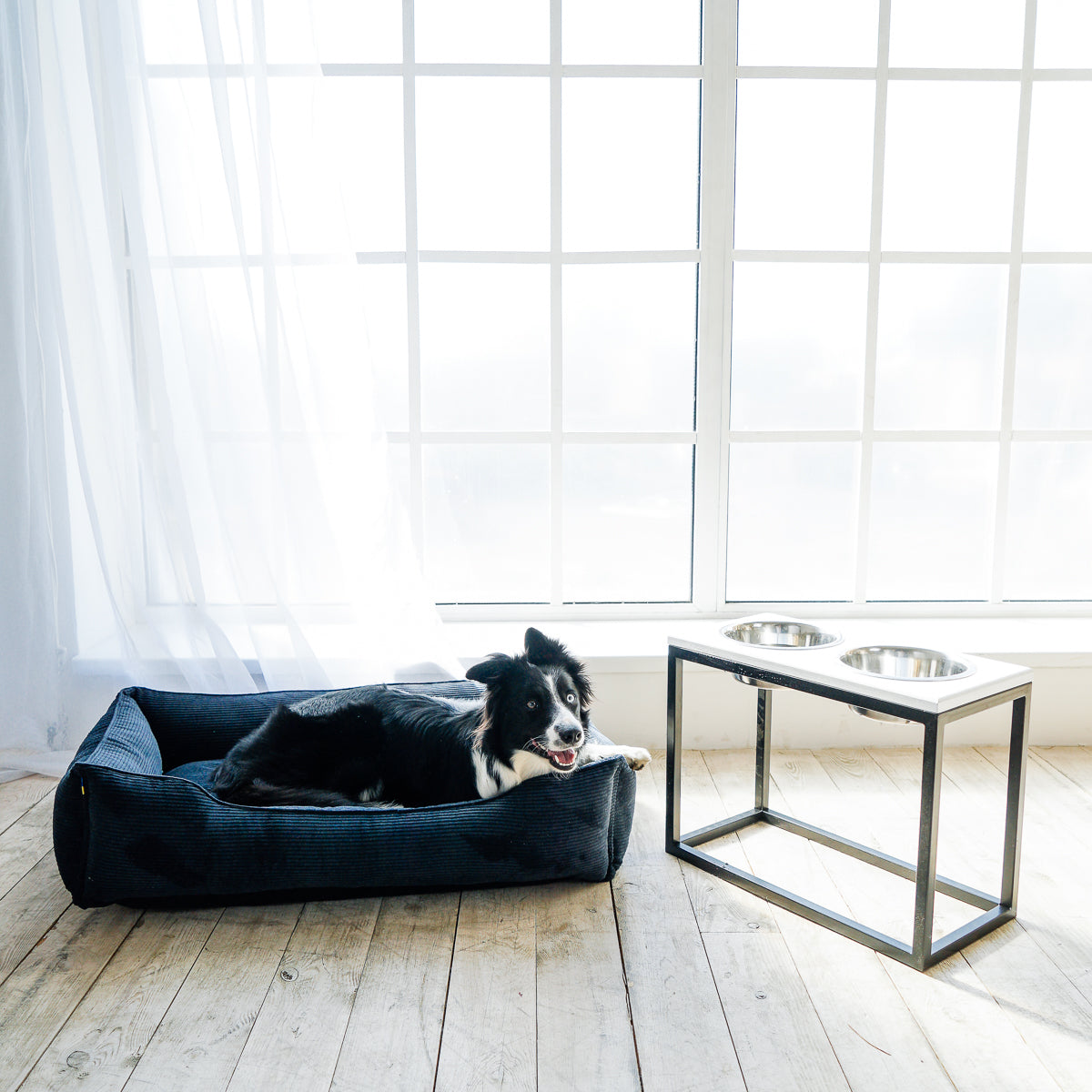 Dreamer Corduroy Dog Bed
