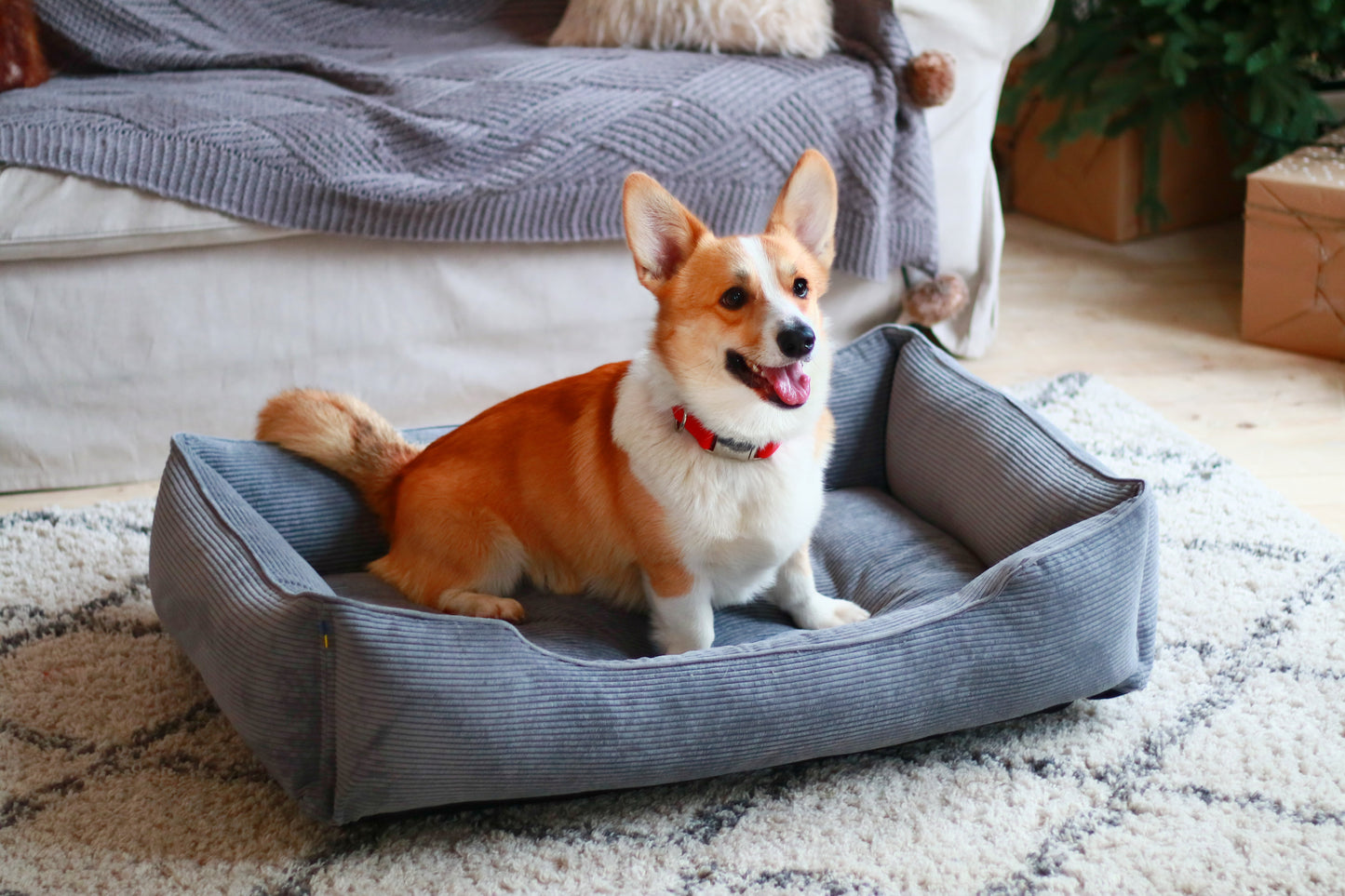 Dreamer Corduroy Dog Bed