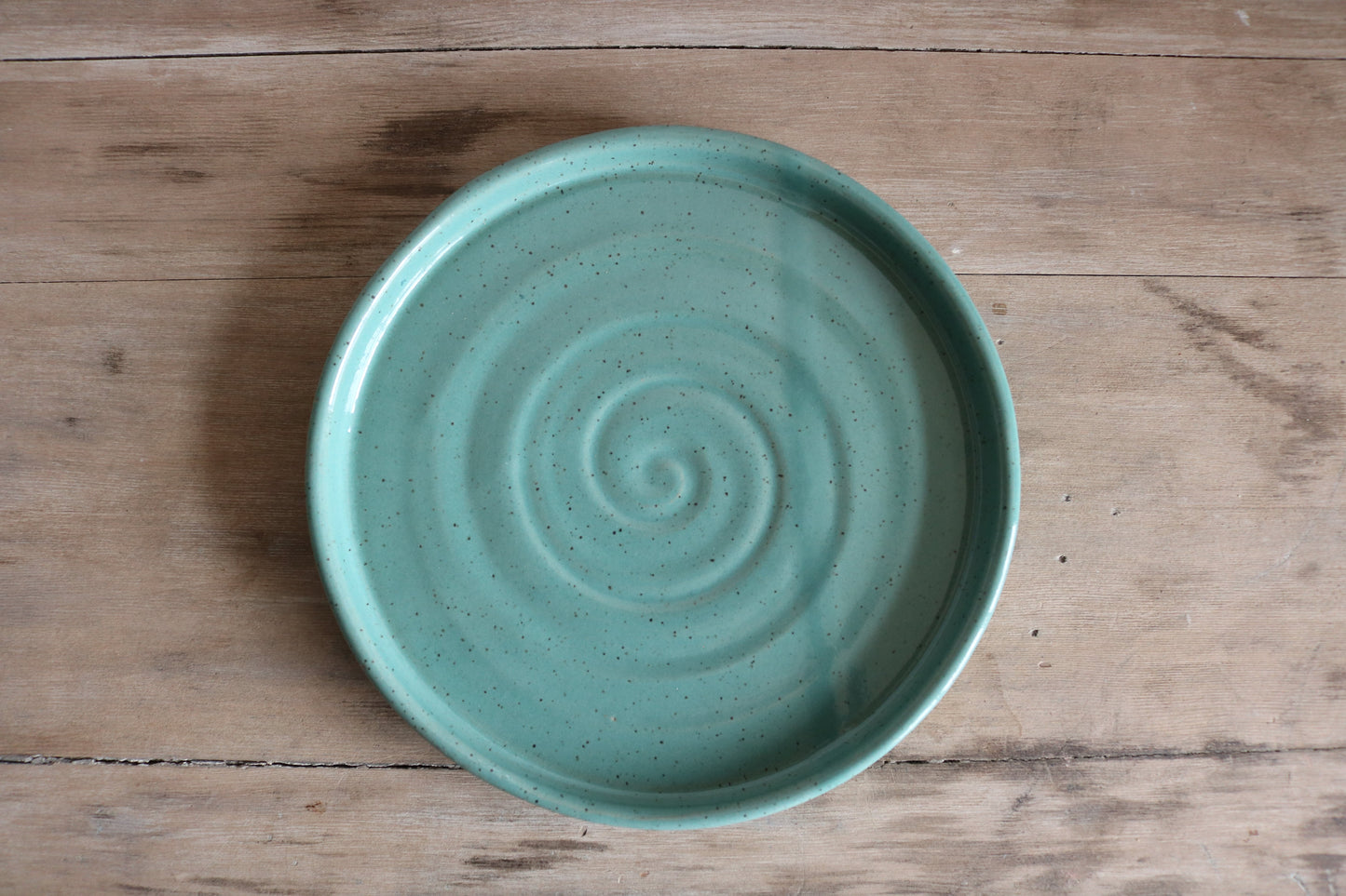 Earthenware Dinner Plate