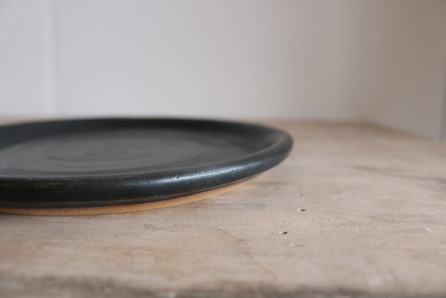 Earthenware Dinner Plate