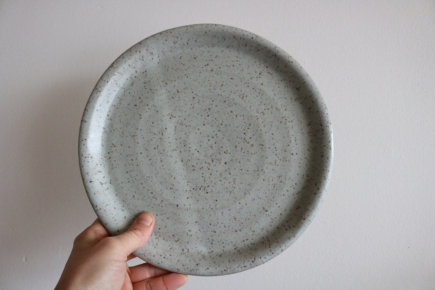 Earthenware Dinner Plate