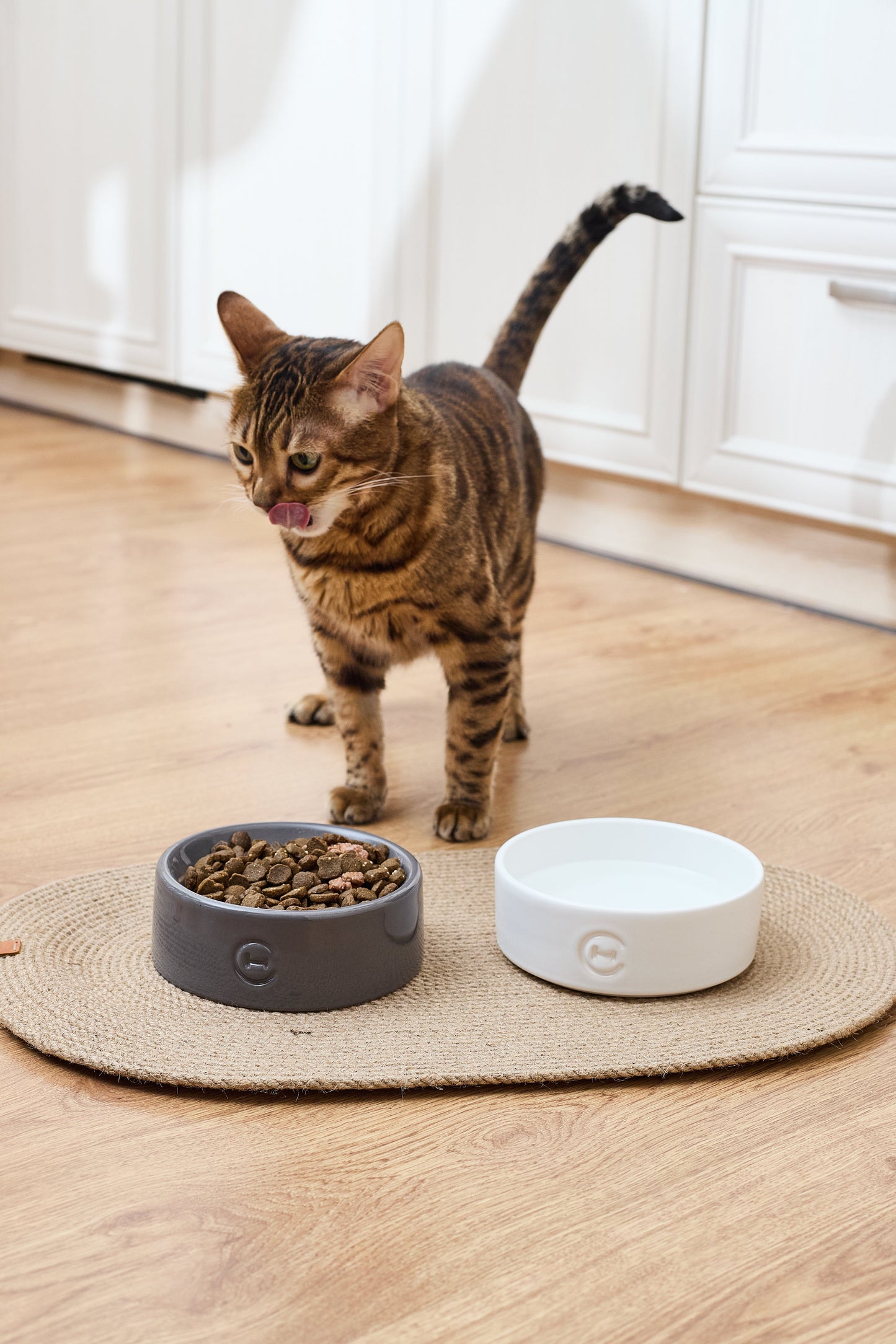 Harley & Cho | Sphere Ceramic Pet Bowl | Small