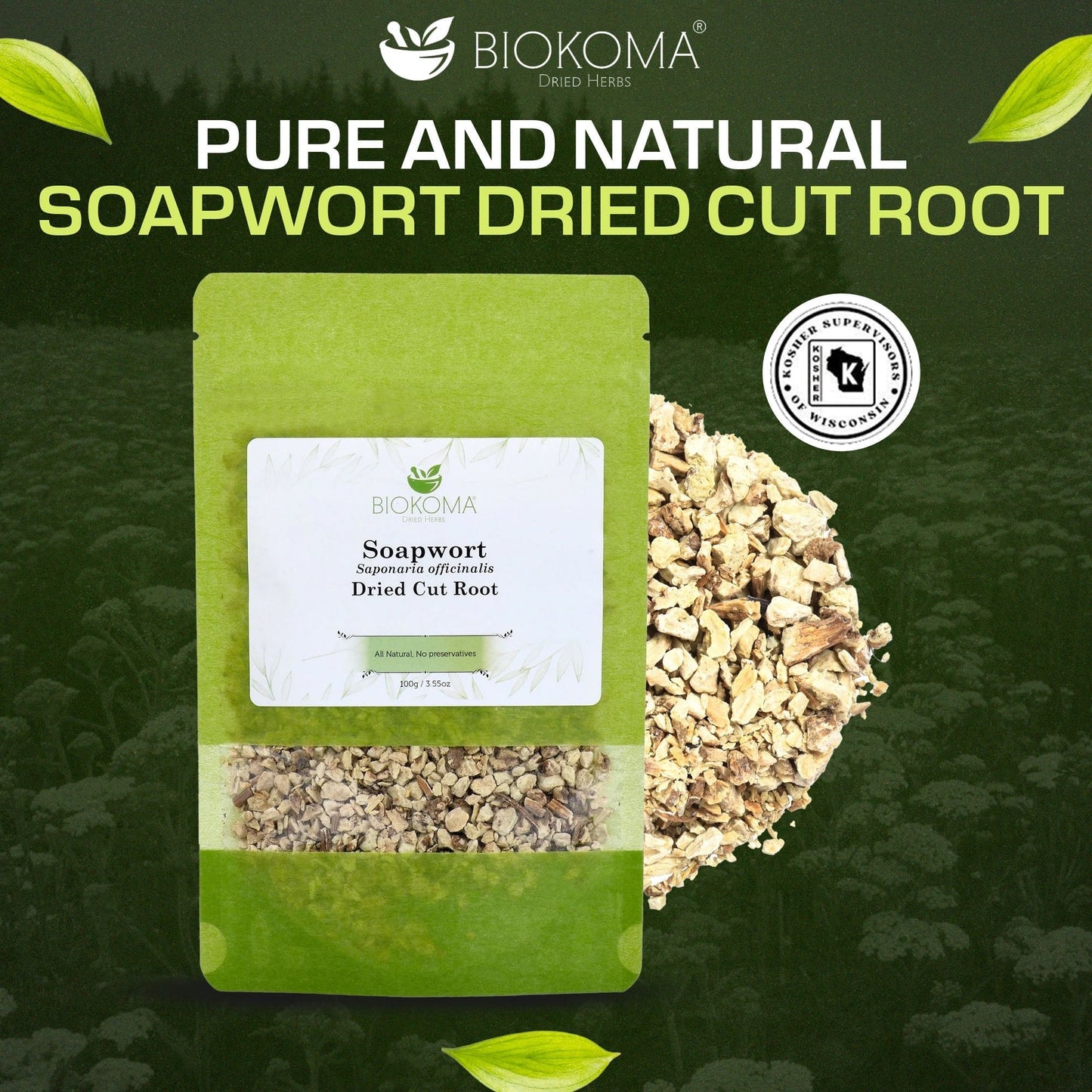 Soapwort | Premium Loose Leaf Dried Root