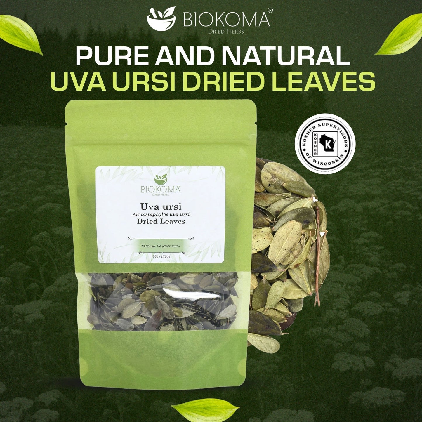 Uva Ursi | Premium Loose Leaf Dried Leaves