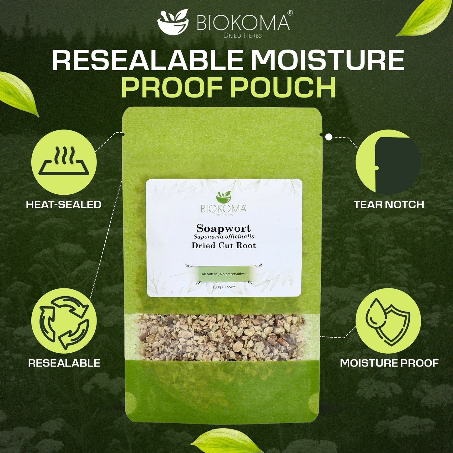 Soapwort | Premium Loose Leaf Dried Root