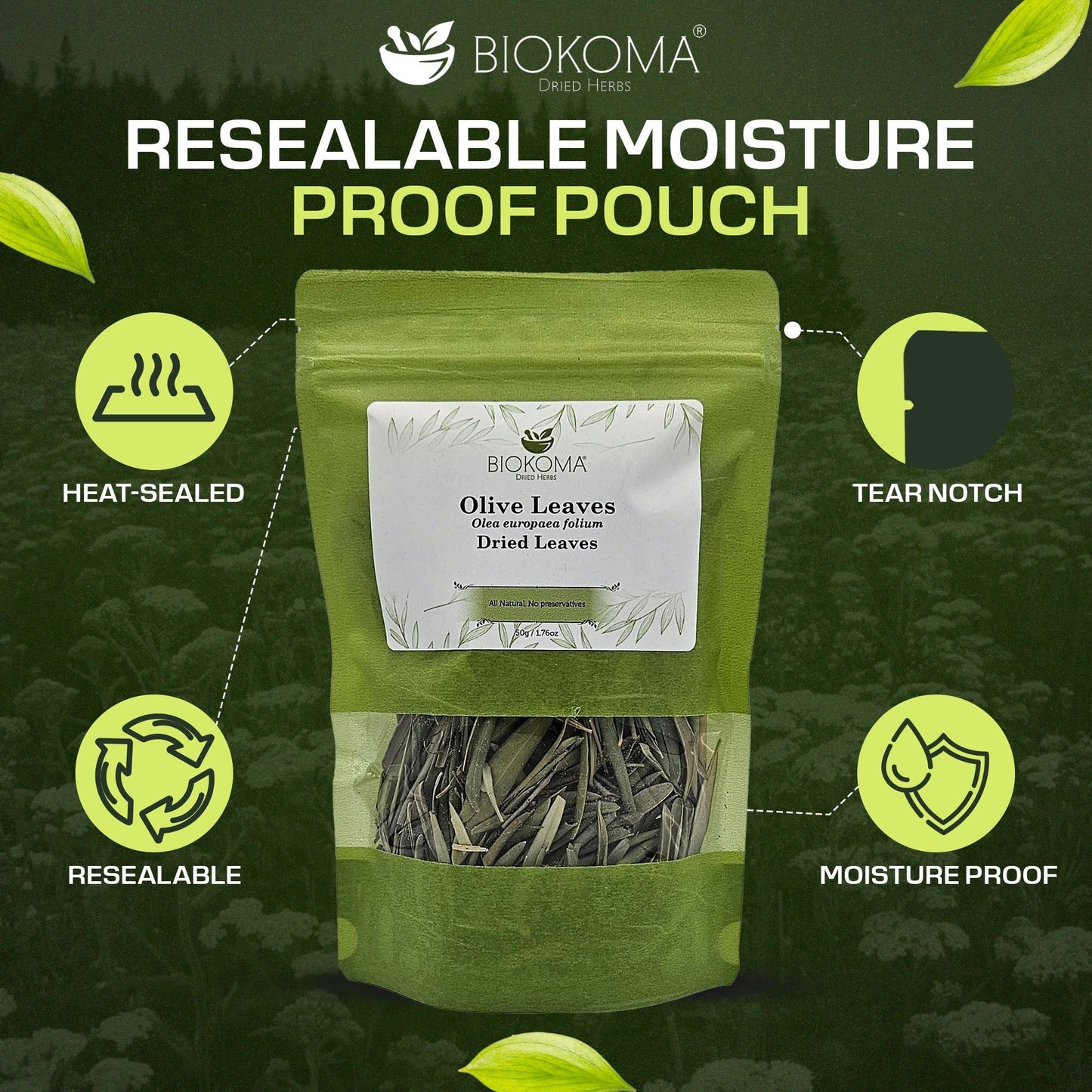 Olive Leaves | Premium Loose Leaf Dried Leaves