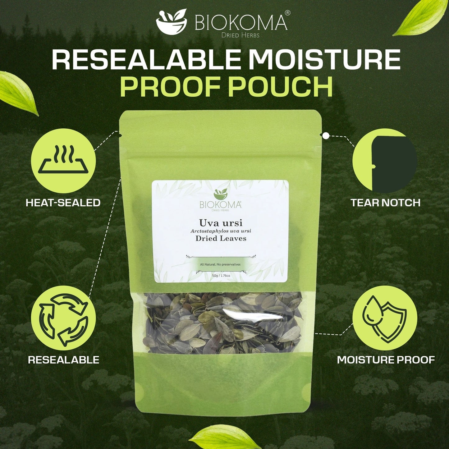 Uva Ursi | Premium Loose Leaf Dried Leaves