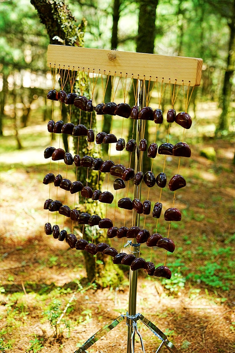 Handmade Juju Duckvine Seed Shell Bar Wind Chime
