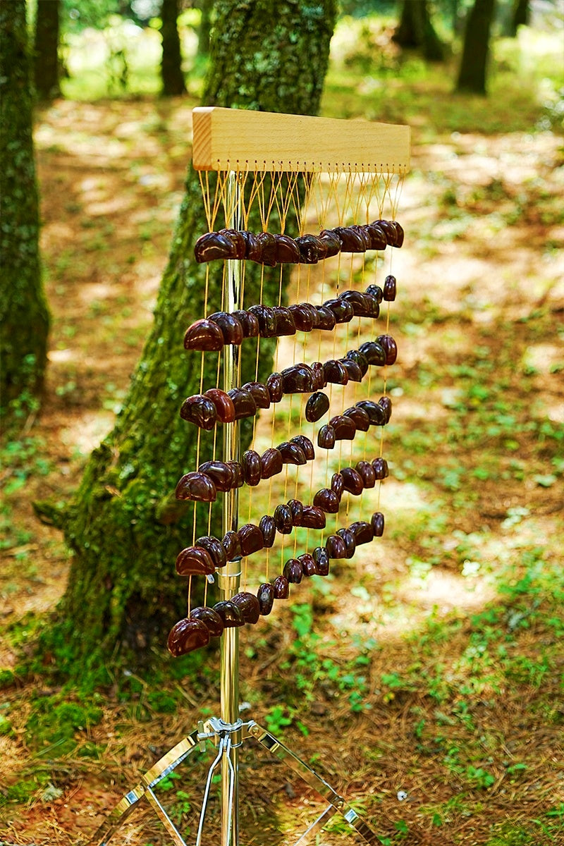 Handmade Juju Duckvine Seed Shell Bar Wind Chime