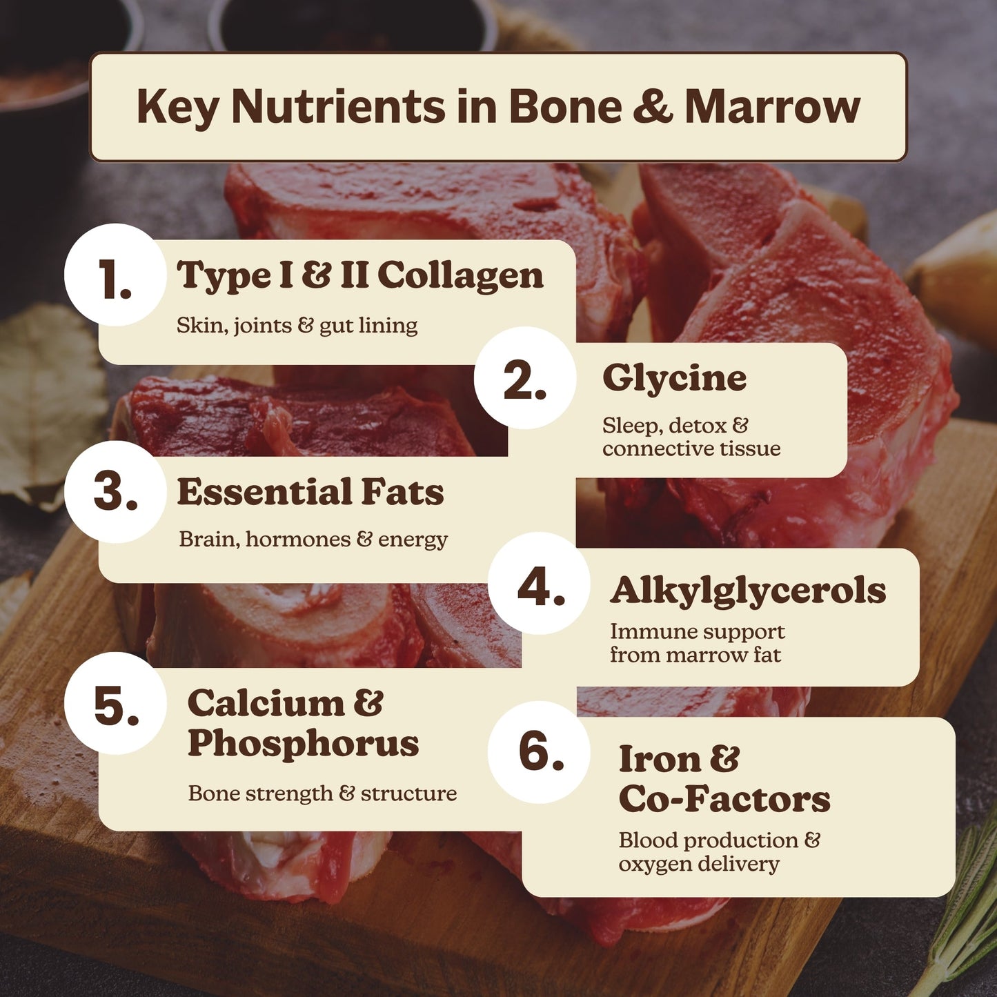 Bone + Marrow