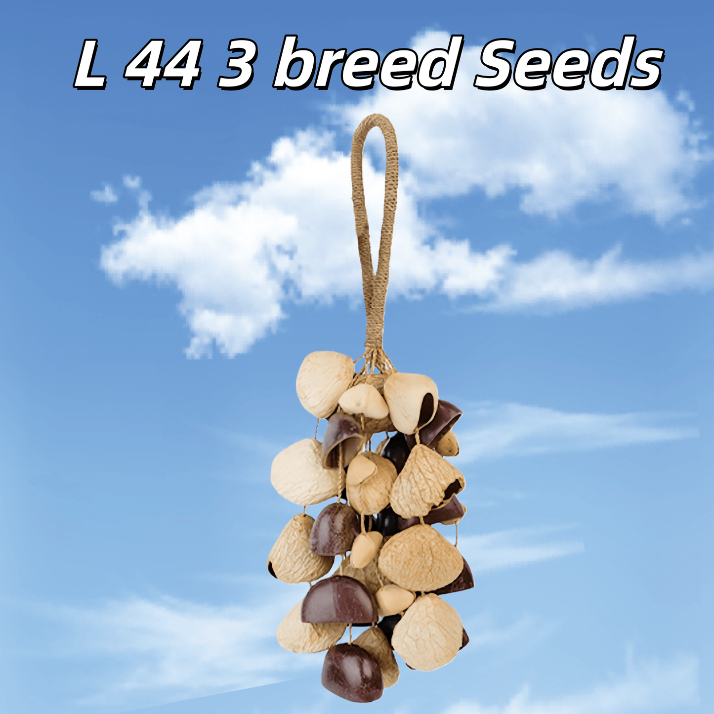 Handmade Entada, Pala Cardamom & Chacha Oleander Seed Shell Hand Bell