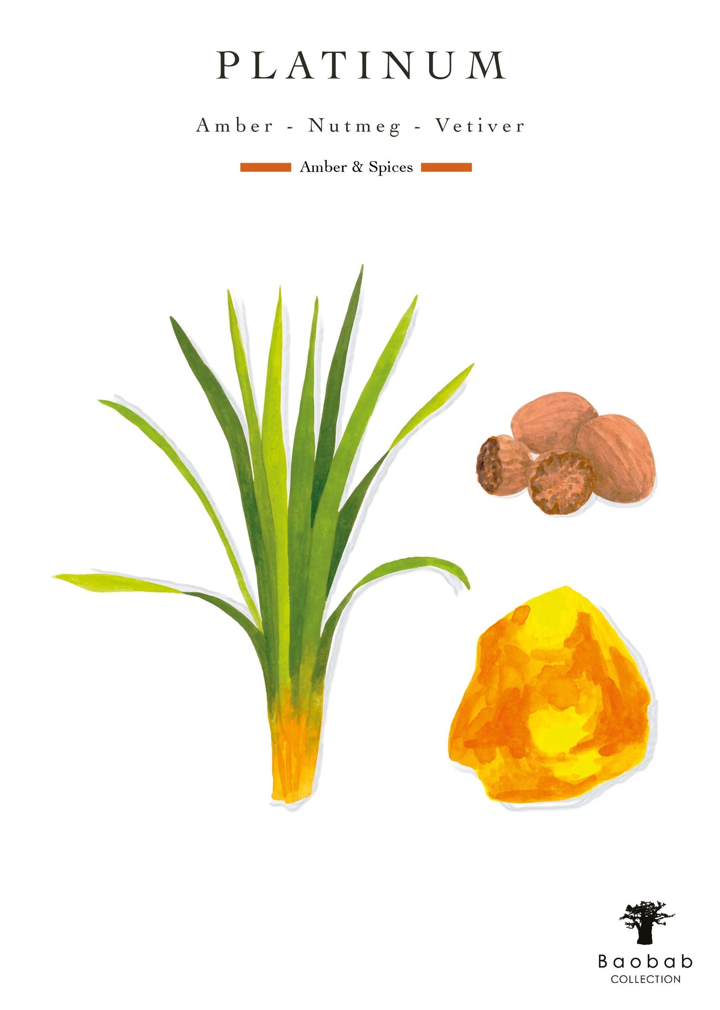 Baobab Collection | Platinum Candle