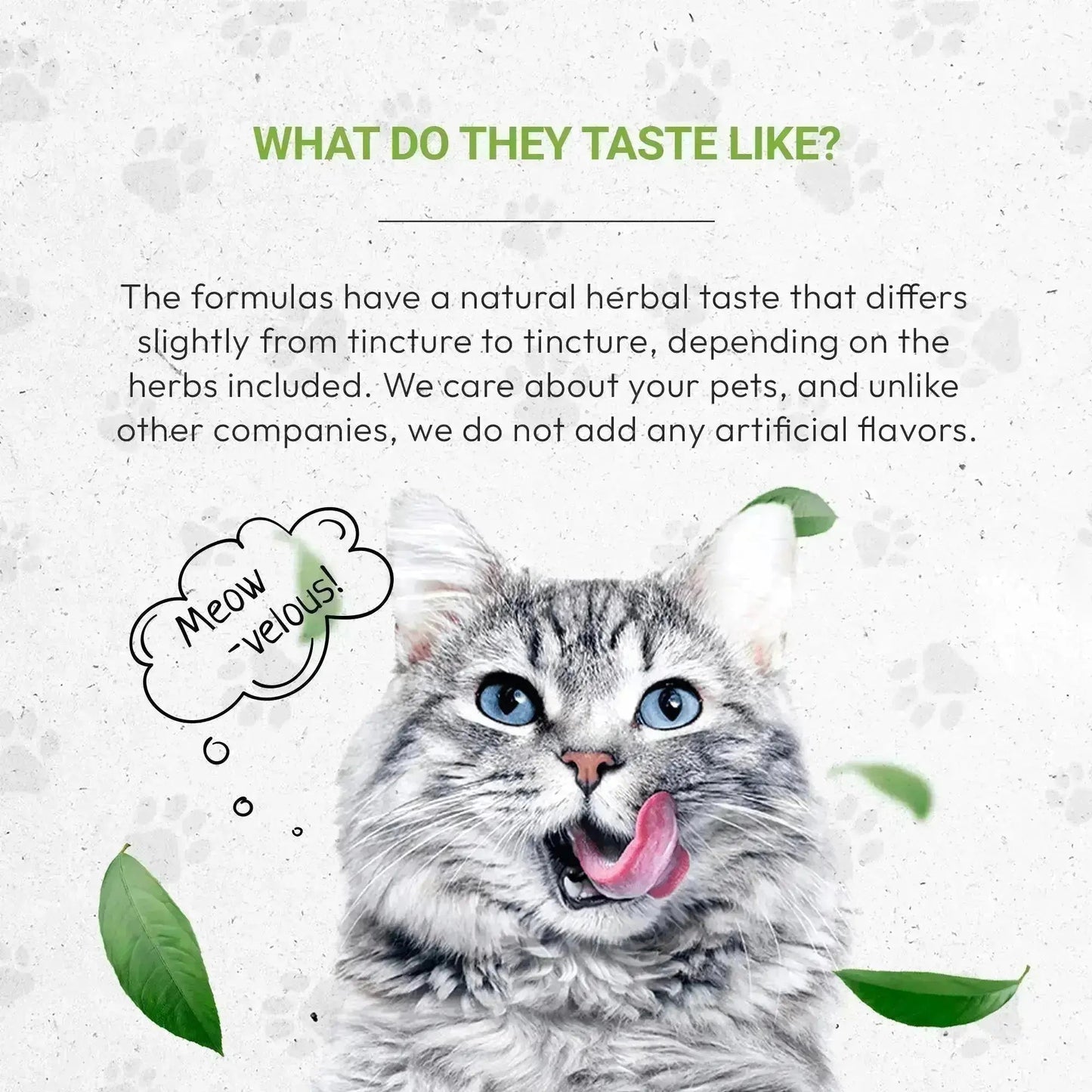 Lion's Blood Pressure | Healthy Blood Pressure Support in Cats