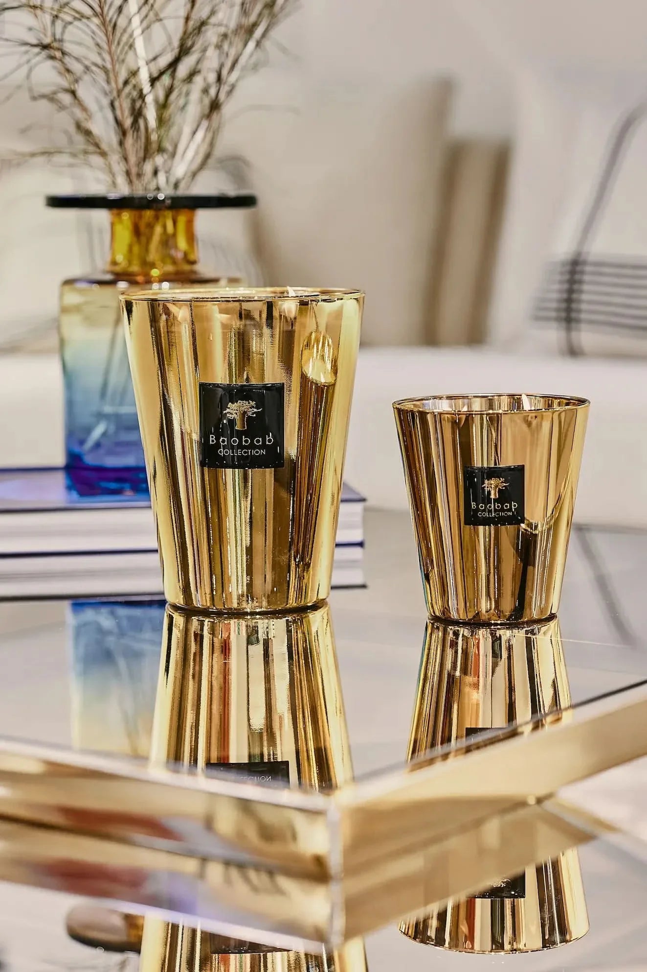 Baobab Collection | Aurum Candle