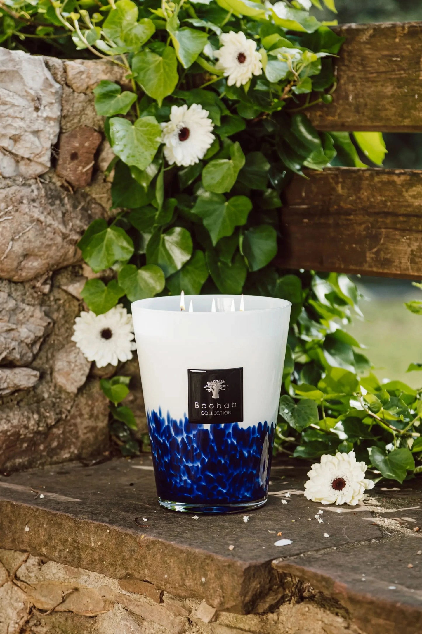 Baobab Collection | Feathers Touareg Candle