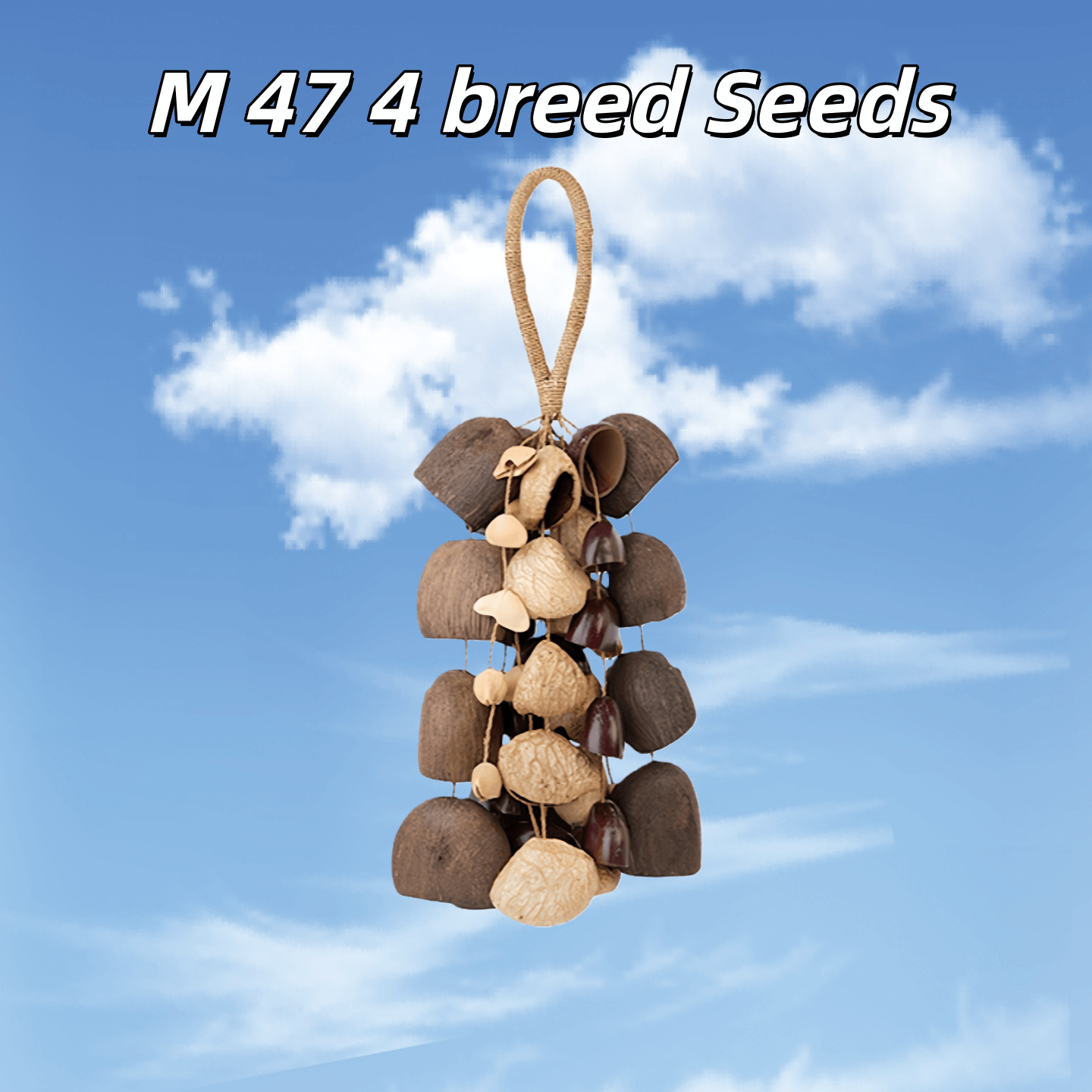 Handmade Entada, Pala Cardamom & Chacha Oleander Seed Shell Hand Bell
